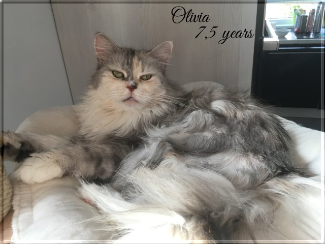 Olivia 19-08-04
